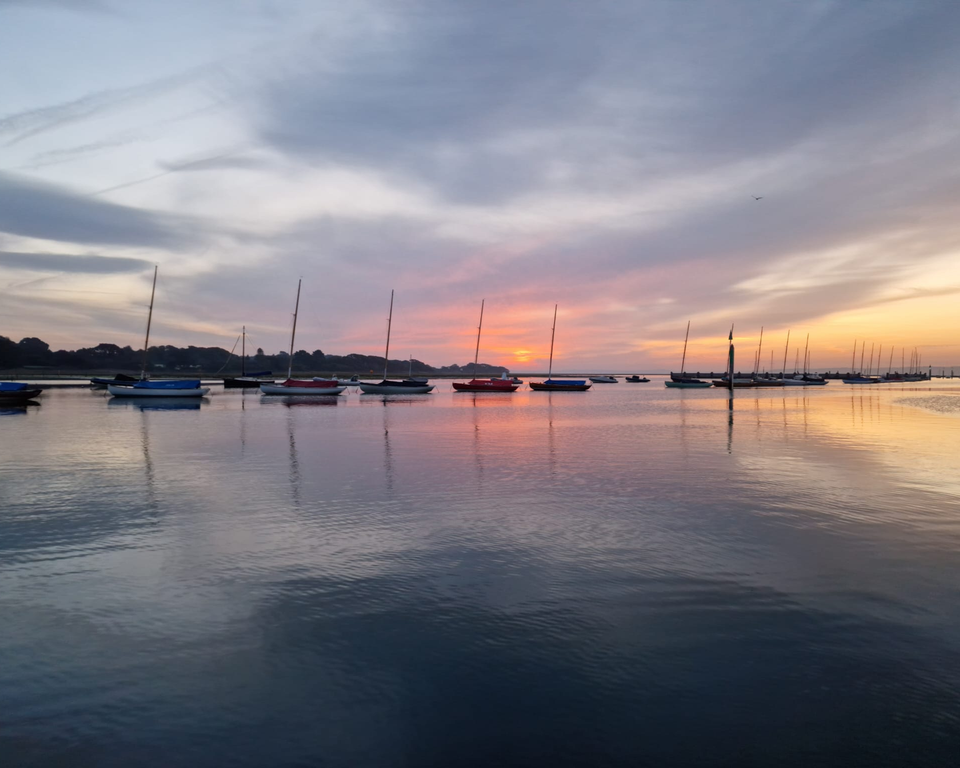 IMG-20231009-WA0010